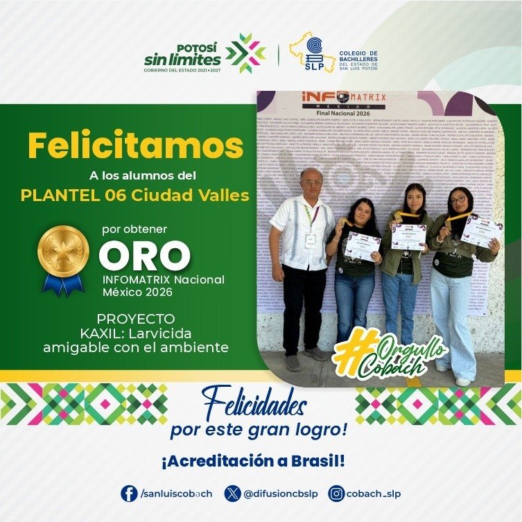 ¡DE LA MAT 2025 A BRASIL! 